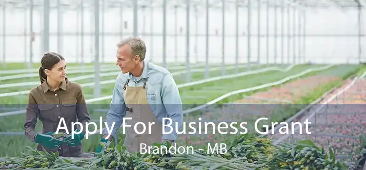 Apply For Business Grant Brandon - MB